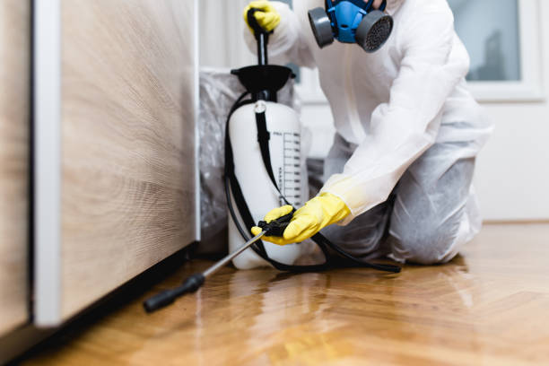 Best Wasp Removal Services  in Newton, TX