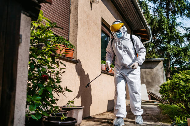 Best Emergency Pest Control  in Newton, TX