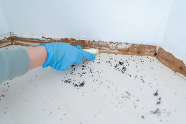Best Pest Removal Services  in Newton, TX